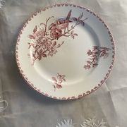 Flat plate model Favourite from Sarreguemines