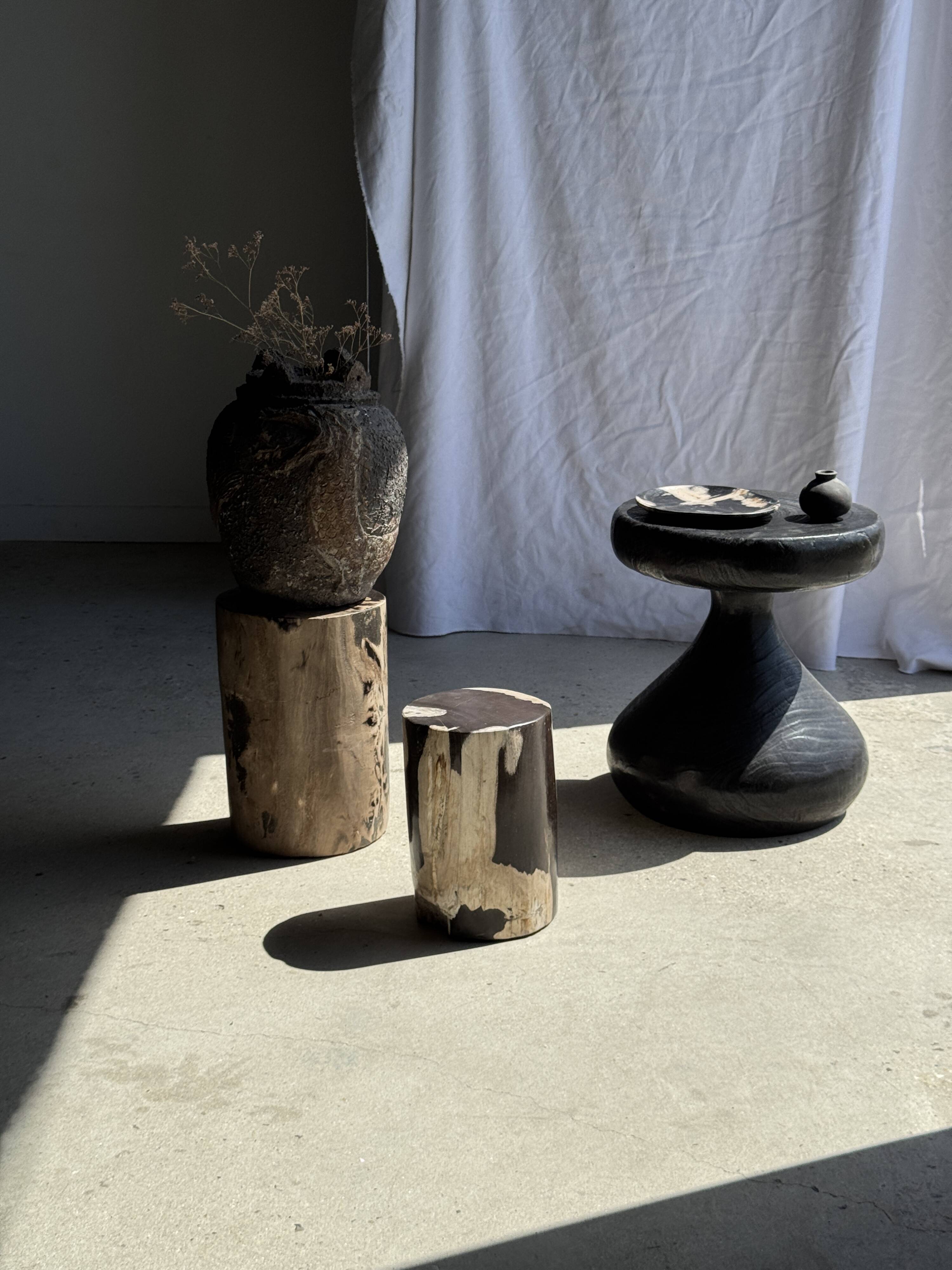 Small side table in black and white petrified wood H28 D18