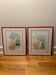 Two framed watercolours