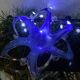Morano glass "Starfish" trinket dish