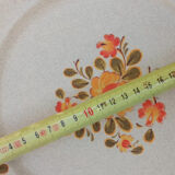 Floral plates sandstone St Amand Bergen