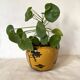 Orchies flowerpot, France, early 20th century