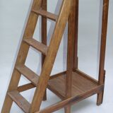 Library stepladder 19th