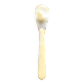 Mother-of-pearl spoon