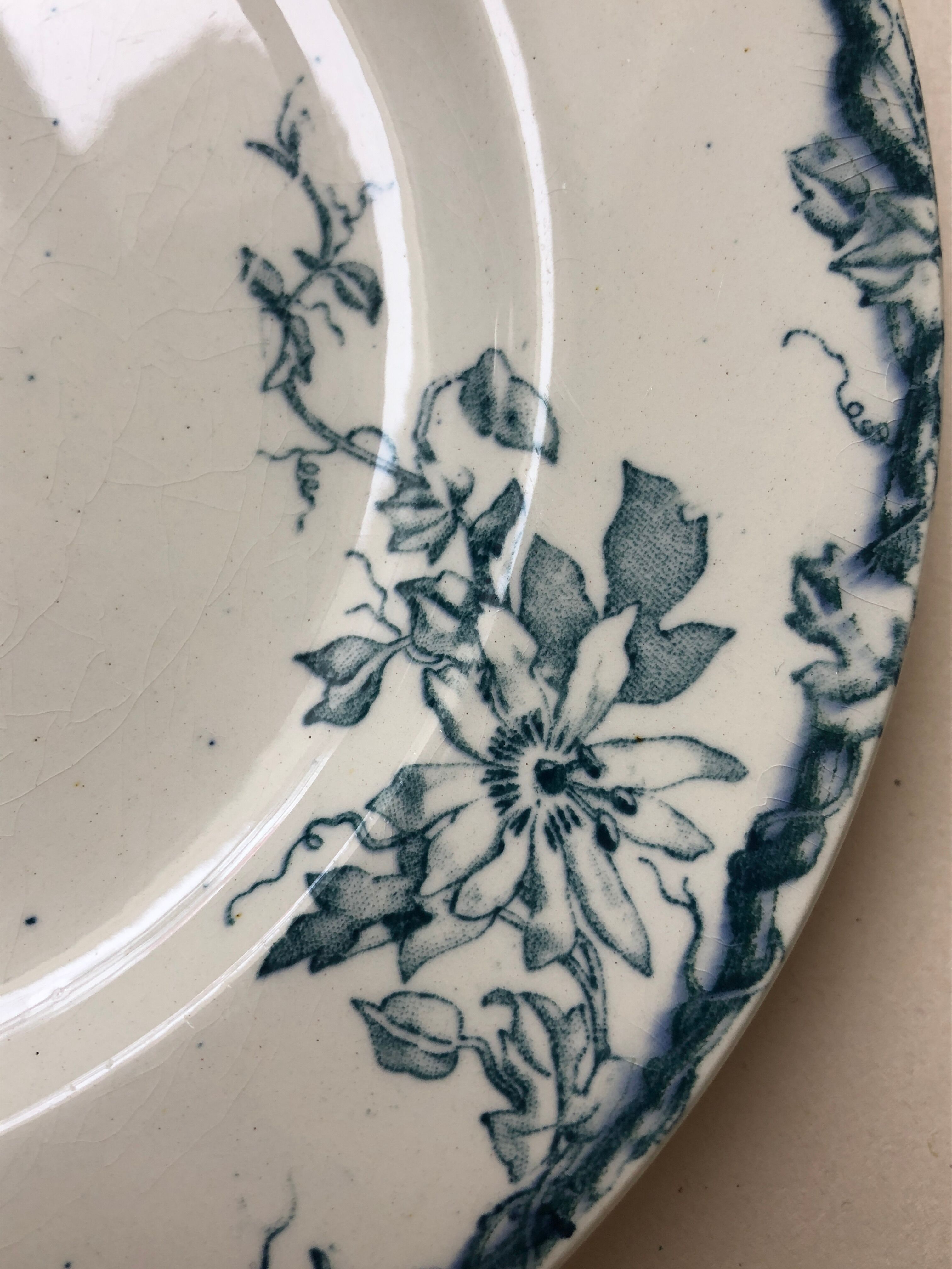 Set of 6 plates in faience Luneville model Passiflore