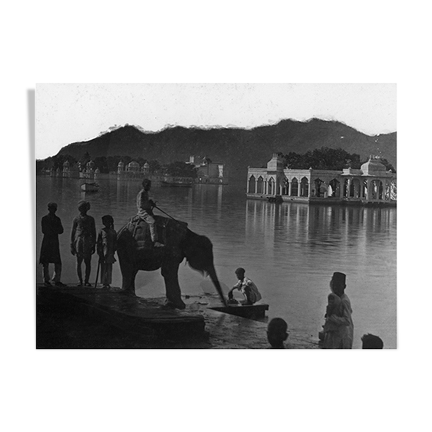 Udaipur, photo of a young elephant by the lake
