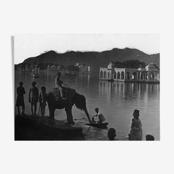 Udaipur, photo d'un jeune éléphant au bord du lac