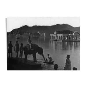 Udaipur, photo d'un jeune éléphant