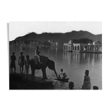Udaipur, photo of a young elephant by the lake