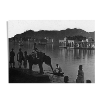 Udaipur, photo of a young elephant by the lake