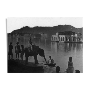 Udaipur, photo d'un jeune éléphant au bord du lac