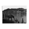 Udaipur, photo of a young elephant by the lake