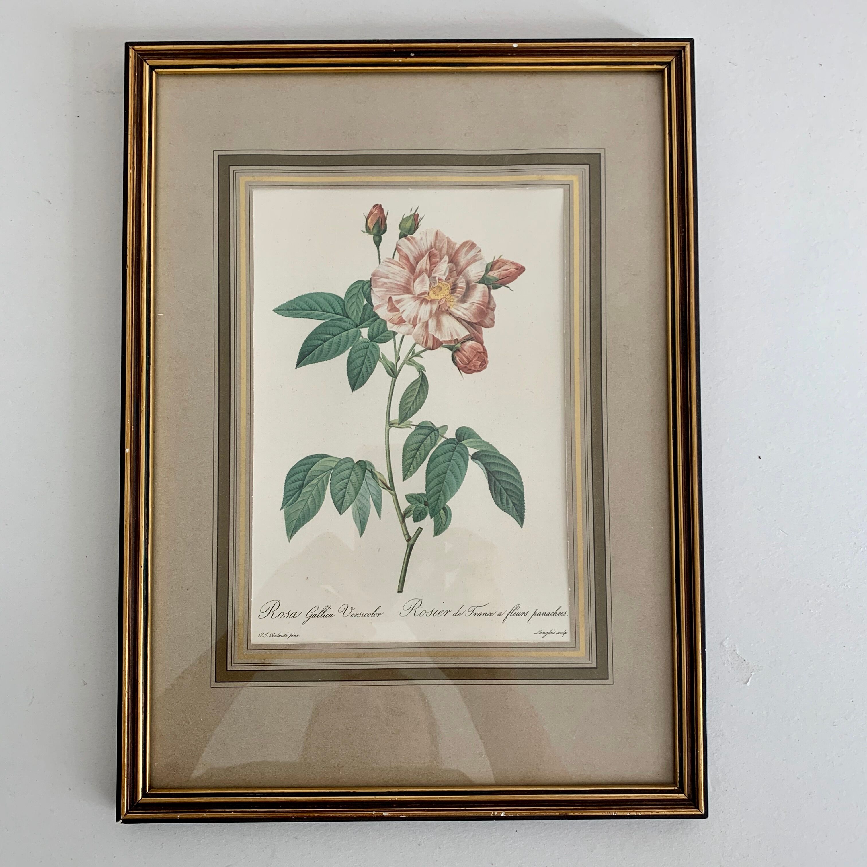 Pair of botanical graphics, 1970