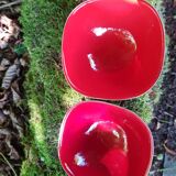 Pair of Saint Clément bowls