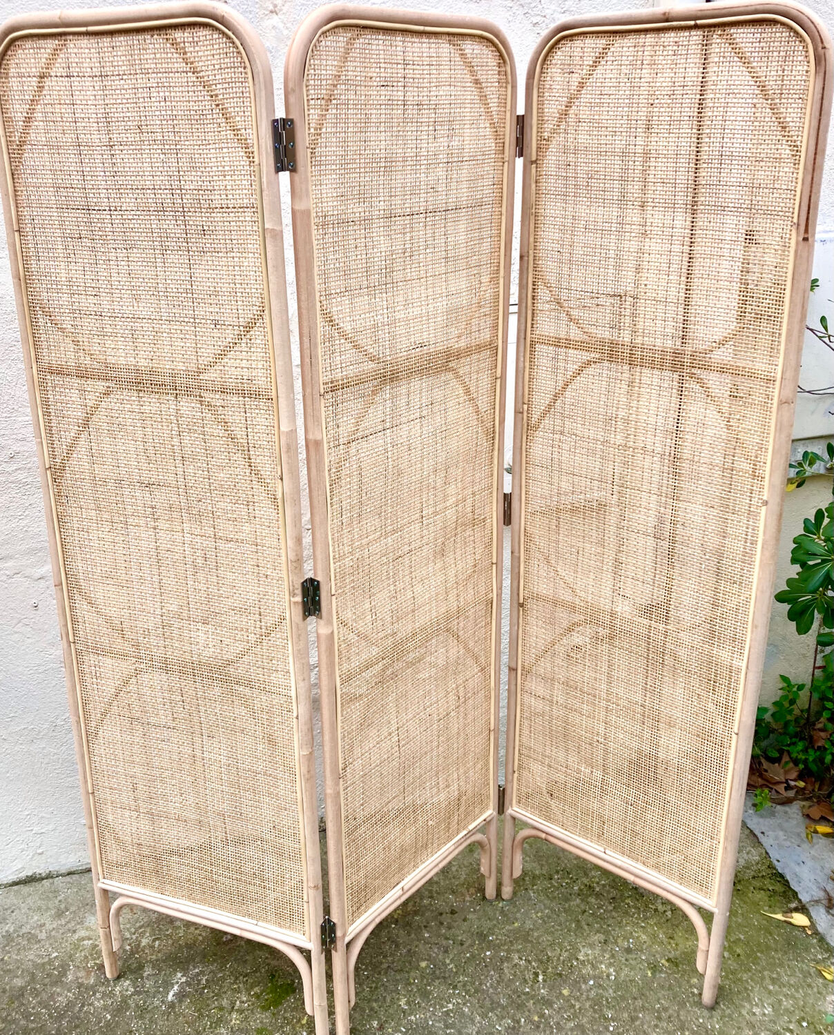 Canage triptych screen