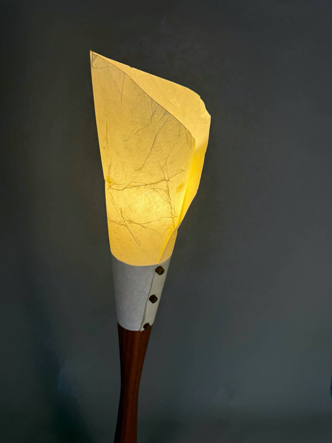 Sculptural floor lamp - exotic wood and textured shade, modern vintage style