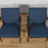Model 300-139 Armchairs from Swarzędz Furniture Factory, 1960s, Set of 2