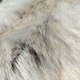 Reindeer skin rug