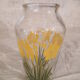 Daffodil pattern vase