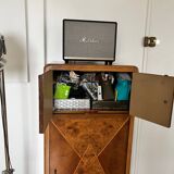 Art deco burl python walnut storage unit