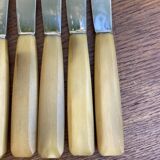 Set of 10 knives and 12 vintage horn knives