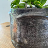 Terracotta head vase