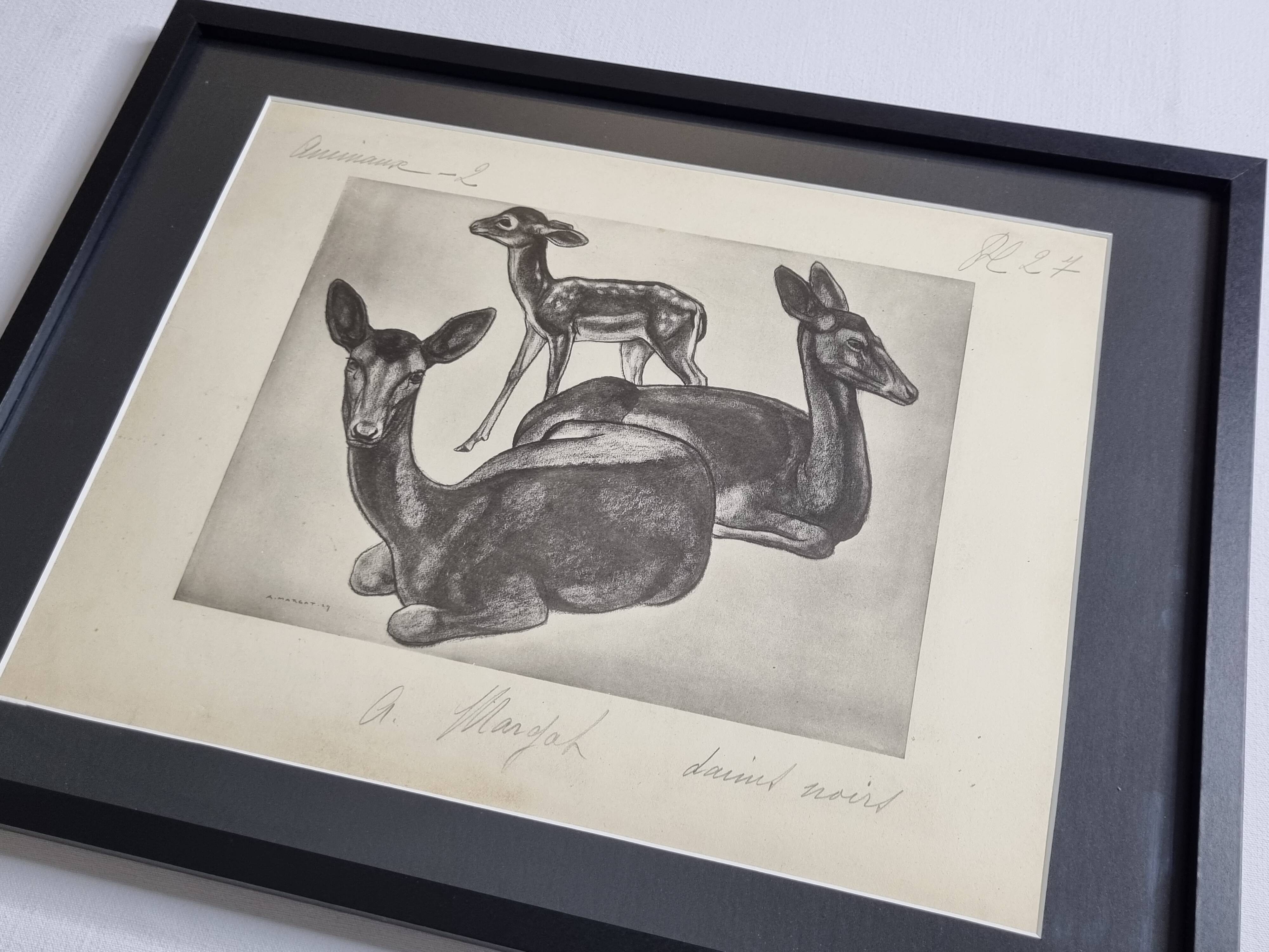 Illustrated plate, Studies of Black Fallow Deer, Signed André Margat, 1930-1950