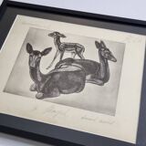 Planche illustrée, Études de Daims noirs, Signée André Margat, 1930-1950