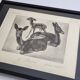 Illustrated plate, Studies of Black Fallow Deer, Signed André Margat, 1930-1950