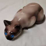 Chat siamois