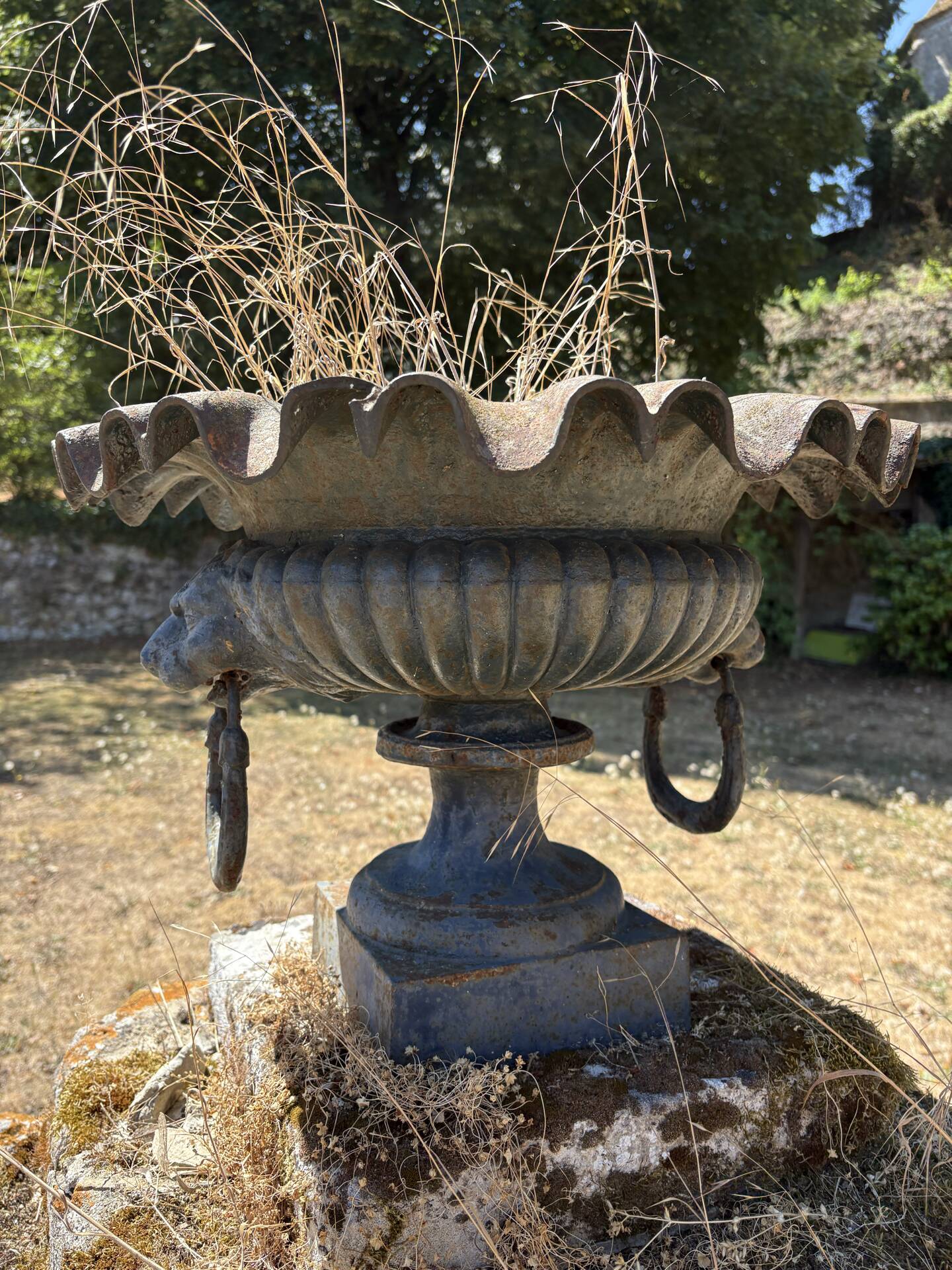 Pair of Médicis vases in cast iron