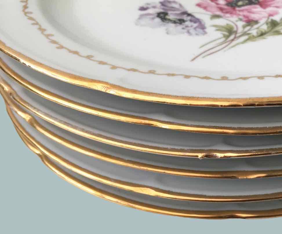 Set of 6 flowered porcelain dinner plates.