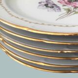 Set of 6 flowered porcelain dinner plates.