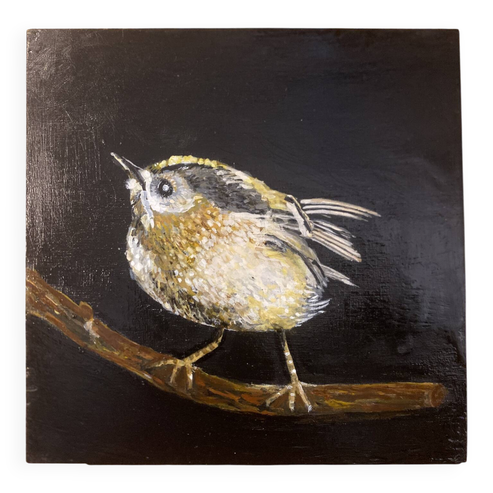 Bird painting - oil