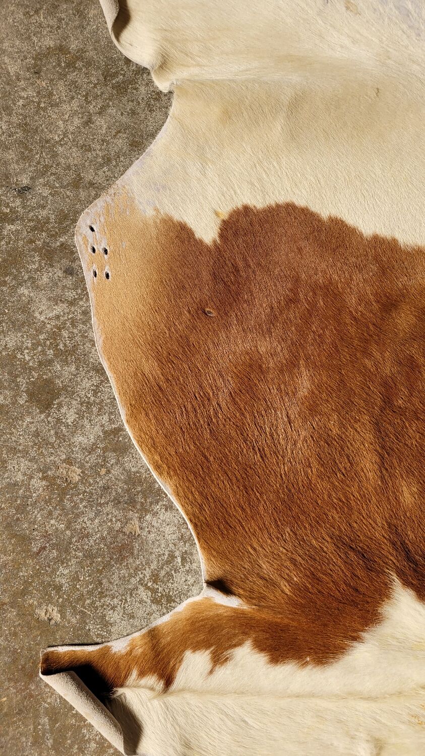 Vintage cowhide rug 1970