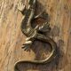 Lézard en bronze doré