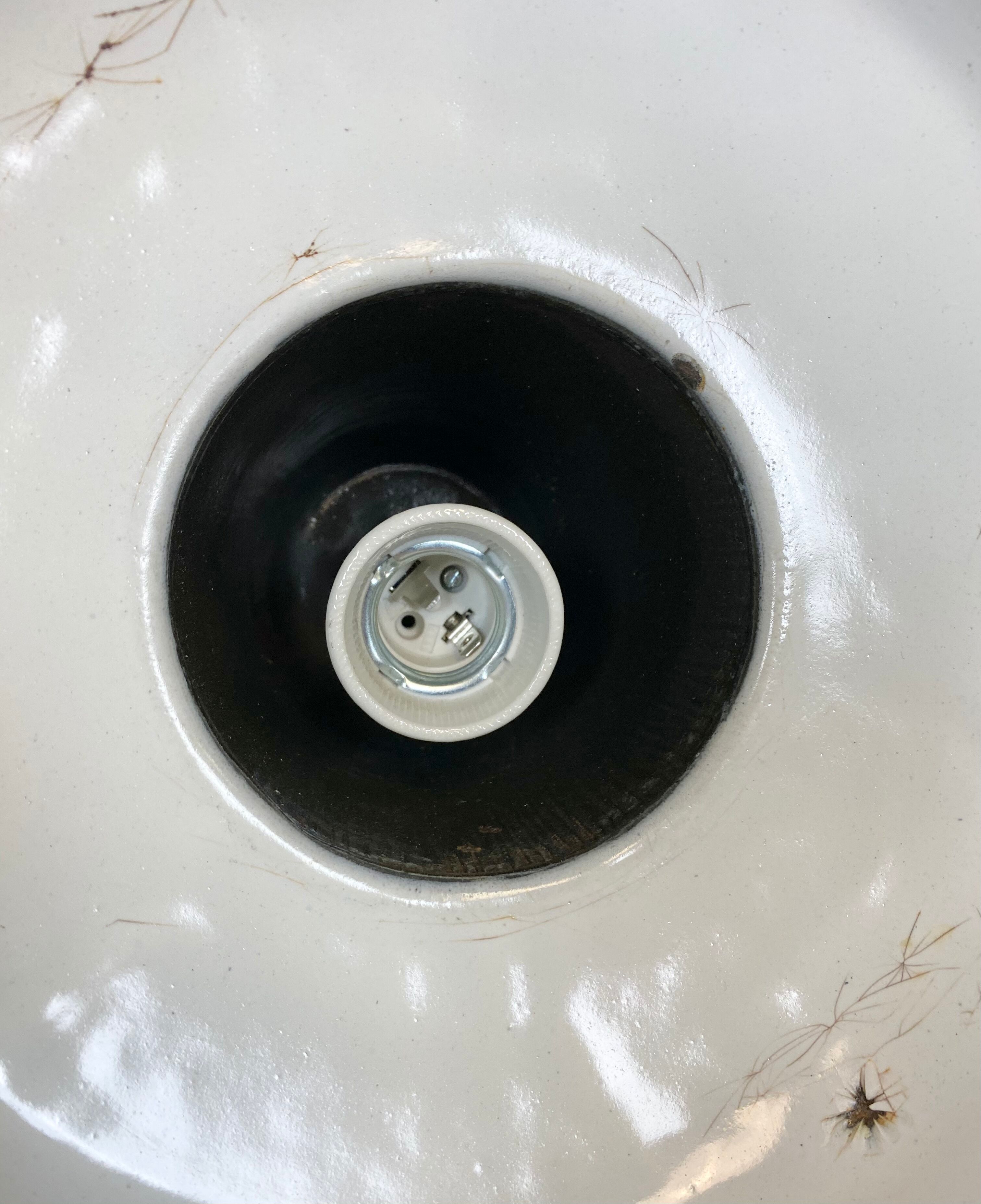 Vintage Black Industrial Ceiling Lamp, 1930s