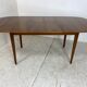 Mid-Century Walnut Extendable Dining Table by A. A. Patijn for Zijlstra Joure