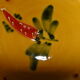 Serviteur aperitif ou autre ceramique Vallauris 3 compartiments