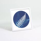 Ferns 2