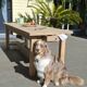 Renovated farmhouse table