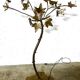 gold metal tree floor lamp Italy 1970s