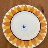Flat plates model TOURNESOL DIGOIN
