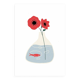 The poppy - a4 illustration
