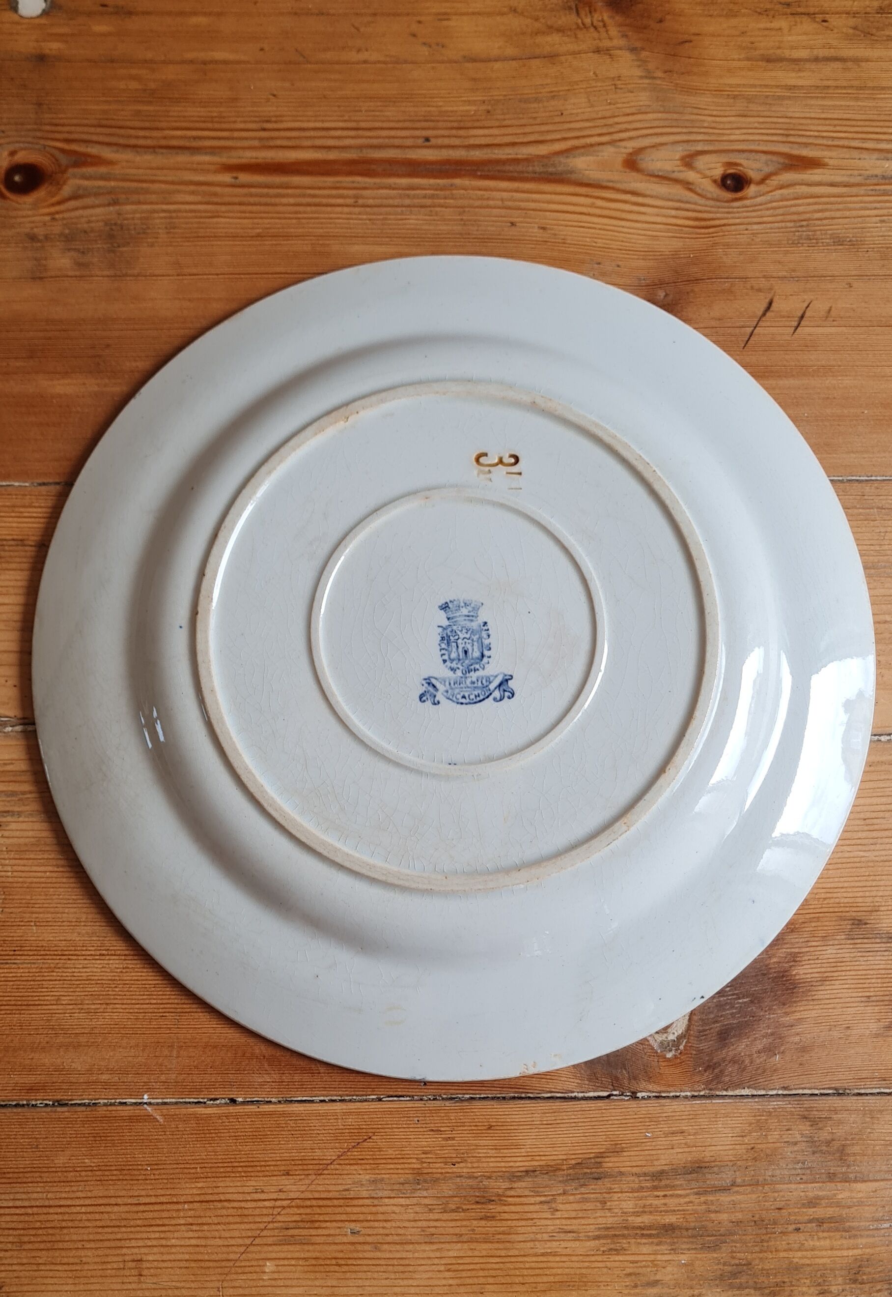 Serving dish in iron earth