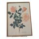 Gravure rose