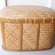 Wicker trunk