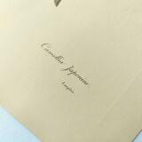 Antique botanical engraving -1955- Variegated Camellia or Japonica- by PJ. Redouté. Vintage Flower