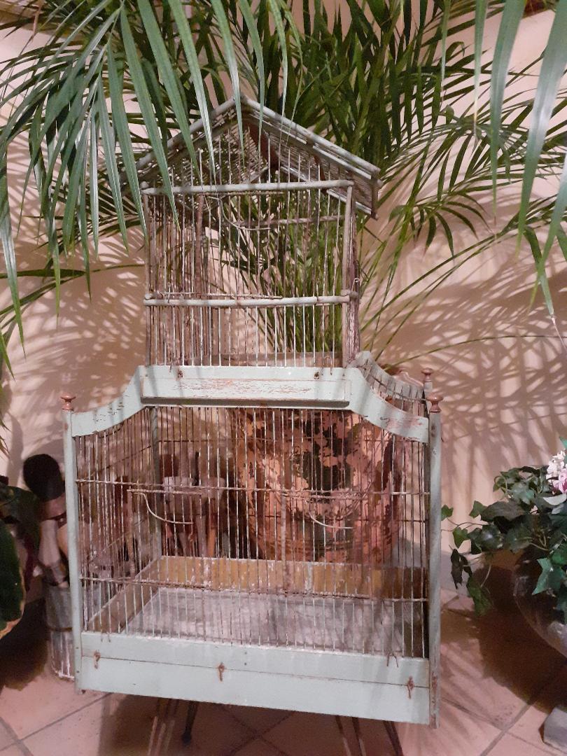 old bird cage