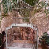old bird cage